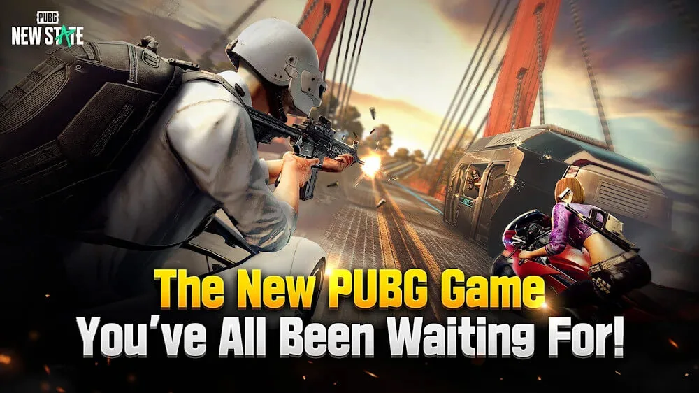 Pubg New State 